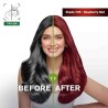 Garnier Hair Colouring Creme Long-lasting Colour Smoothness & Shine Color Naturals Shade 7.65 Raspberry Red 55ml and 50g