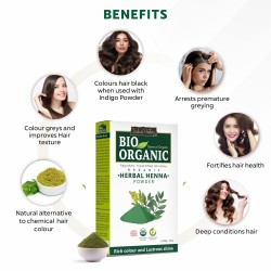 Indus Valley Bio Organic Combo Herbal Henna Powder for Hair 100g 2 200g Green