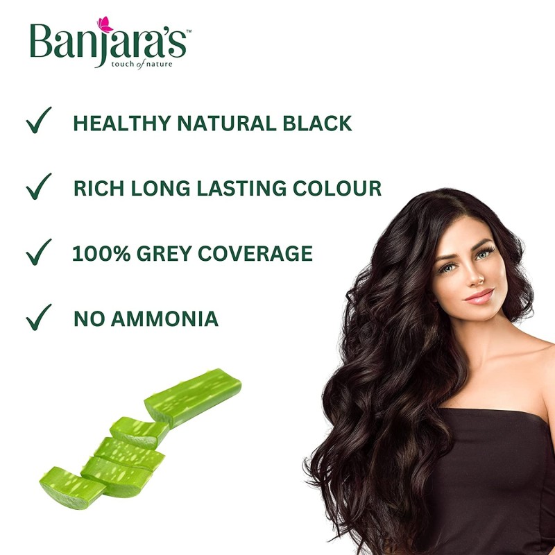 Buy Banjara's Black Henna With Amla 2 Packs (100 g) (100 g) Online in  Visakhapatnam at best price : VizagGrocers.com :Shampoos