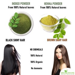 Shudh Online Indigo and Henna Powder Organic for Hair Colour 200 Grams each 400 grams