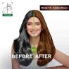 Garnier Hair Colouring Creme Long-lasting Colour Smoothness & Shine Color Naturals Shade 7.3 Golden Brown 55ml + 50g