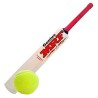 Pmg Poplar Willow Wooden Cricket Bat With Tennis Cricket Ball Combo For Boys Red Size 6 For Age 12-14 Years And Bag Cover