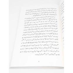 Jab Zindagy Shuru Hogi Urdu Paperback Abu Yahya