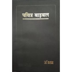 The Holy Bible Pavitra Bible The Word of God Hindi Leather fine binding Society American Bible