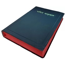 The Holy Bible Pavitra Bible The Word of God Hindi Leather fine binding Society American Bible