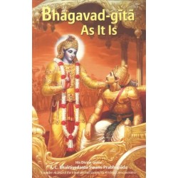 Bhagavad Gita As It Is English Pocket Size Protable 4x6 Inch Only 408 Gm English Paperback