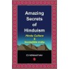 Amazing Secrets of Hinduism Hindu Culture and Incredible India English Paperback