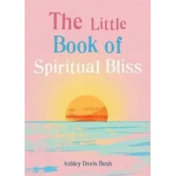 The Little Book of Spiritual Bliss English Paperback Bush Ashley Davis