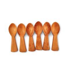 The Indus Valley Neem Wooden Masala Spoon Set for Measuring Sugar Grains Salt Condiments Set of 6 Pieces Brown