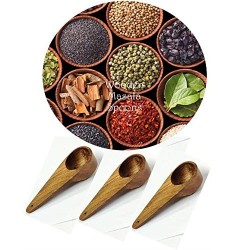 Arman Spoons Masala Spoon Set Of 12 For Small Containers Table Spoon