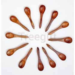 Treegift Wooden Spoons Set of 12 Made in Rosewood for Spices Sugar Salt Tea Jars