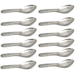 Kraxta Stainless Steel Masala Spices Spoons Set of 24 3.5 Inch Silver
