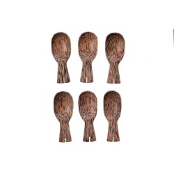 Wooden Masala Spoon for Coconut Wood Set of 6