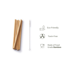 Ecotyl Bamboo Straw - Set of 6 + Straw Cleaning Brush  (6 Pc)