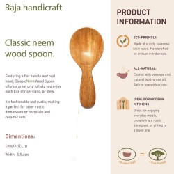 Raja handicraft Small Neem Wooden Spice Spoon Natural Wooden Spoons Eco Friendly  Set of 12