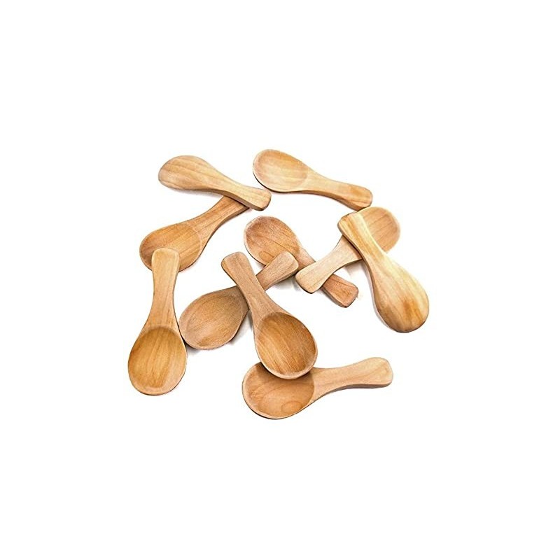 Raja handicraft Neem Wooden Spice Spoons 4 inch Set of 10