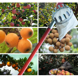 Metal fruit picker Agricultural garden hardware tools