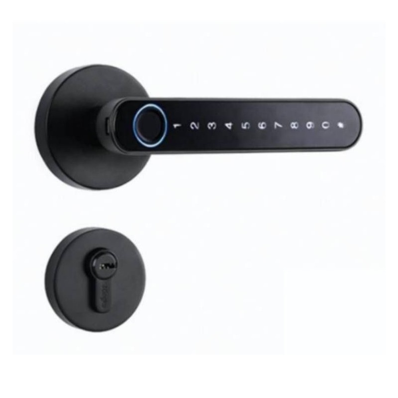The Smart Door Lock Opens At A Touch
