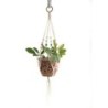 Handmade Plant Hanger For Wall