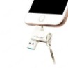 Suitable For Apple Mobile Phone U Disk (64 GB)