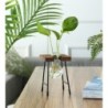 Rustic Plant Terrarium with Wooden Stand ( 1 PIECE 2 VASE)