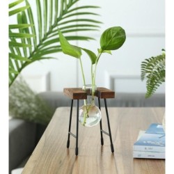 Rustic Plant Terrarium with Wooden Stand ( 1 PIECE 3 VASE)