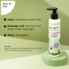 Pilgrim Spanish Rosemary & Biotin Anti Hairfall Shampoo for Reducing Hair Loss  For Men & Women 200ml