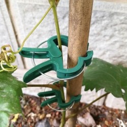 Plant fixing clip