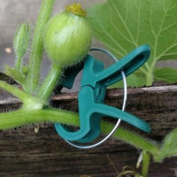 Plant fixing clip