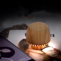 Portable Mushroom Small Audio TWS Pair Box LED With Night Light