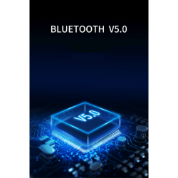 True wireless Bluetooth 5.0 earbuds binaural headset
