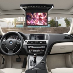 Car Mounted High-definition Ceiling Display