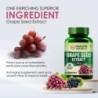 Himalayan Organics Grape Seed Extract 500Mg/Serving For Healthy Cholesterol Level