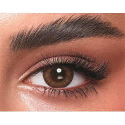 Bella Contact Lenses 10 Daily Lenses One Day Color Almond Brown