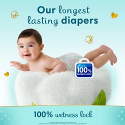 Buy PAMPERS PREMIUM CARE PANTS XL  11 COUNT Online  Get Upto 60 OFF at  PharmEasy