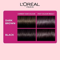 L'Oréal Paris Semi Permanent Hair Colour Ammonia-Free Formula & Honey Infused Conditioner Ebony Black 200 87.5g+72ml