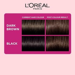 L'Oréal Paris Semi-Permanent Hair Colour Ammonia-Free Formula & Honey-Infused Conditioner Darkest Brown 300 87.5g+72ml