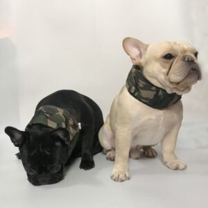 Summer Heatstroke And Heatstroke Prevention Ice Packs For Pets To Cool Down