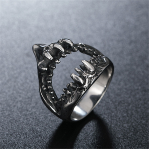 Stainless steel ring