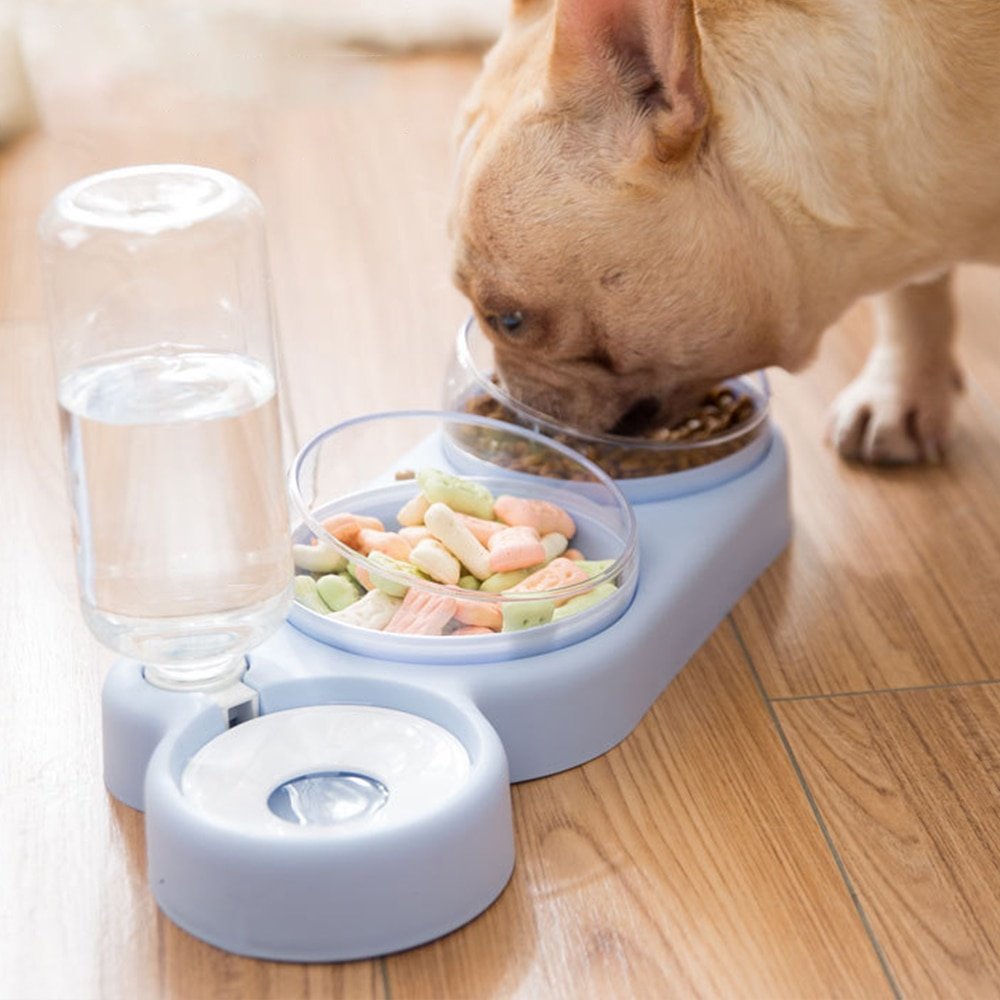 Double Bowl Automatic Feeder Drinking Water Pet Supplies - Image 6