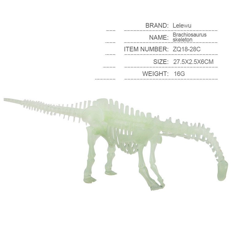 Install Dinosaur Skeleton Model - Image 3