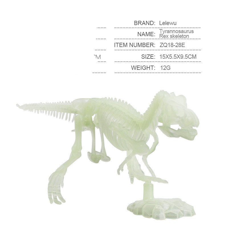 Install Dinosaur Skeleton Model - Image 5