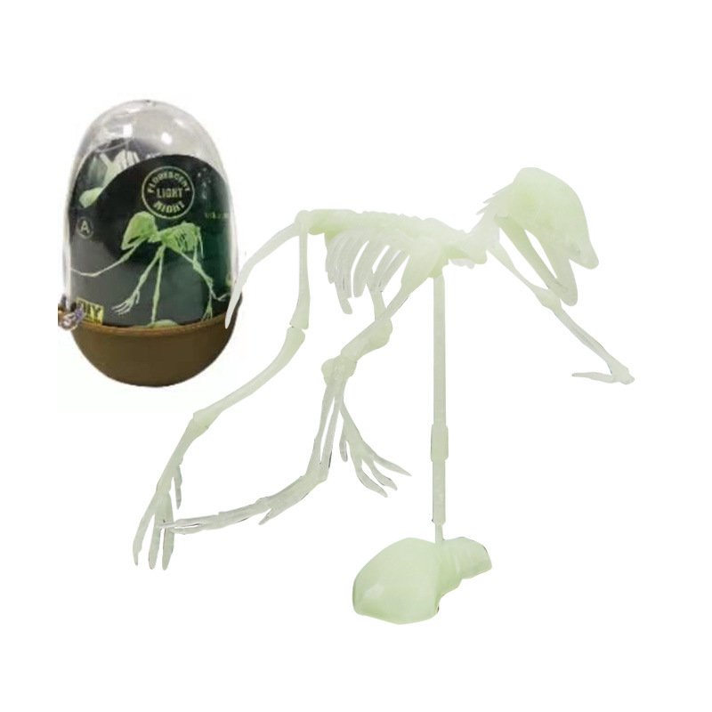 Install Dinosaur Skeleton Model - Image 8