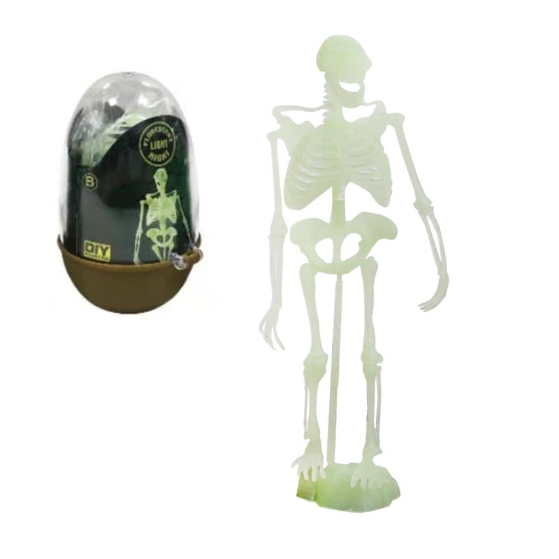 Install Dinosaur Skeleton Model - Image 9