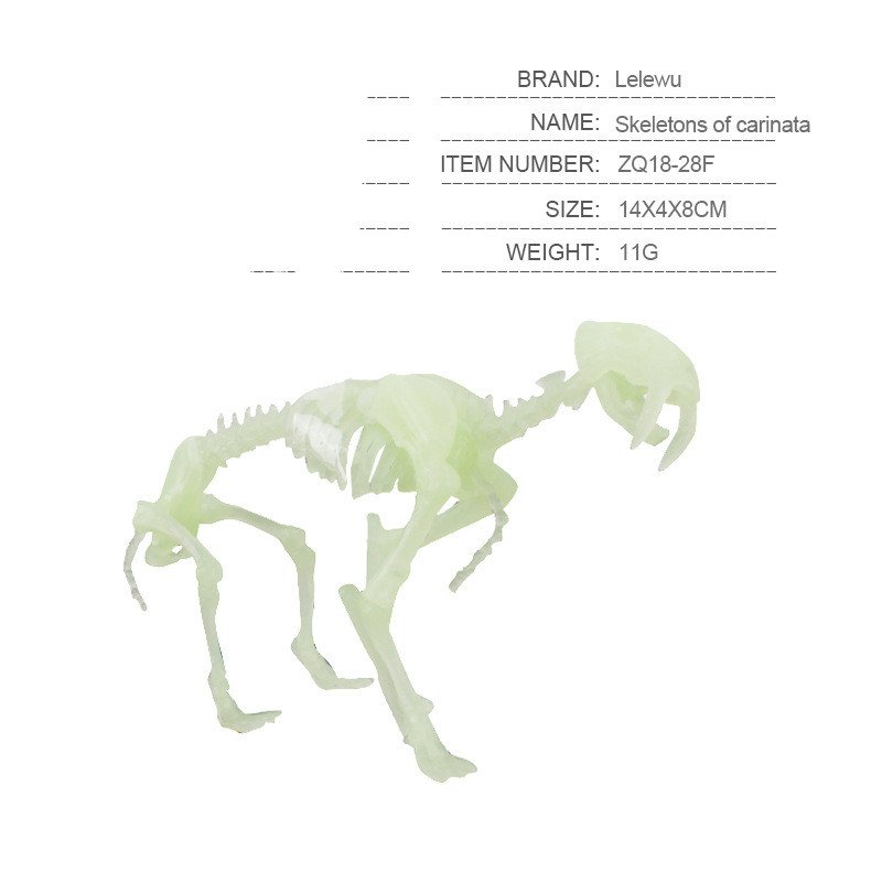 Install Dinosaur Skeleton Model - Image 6