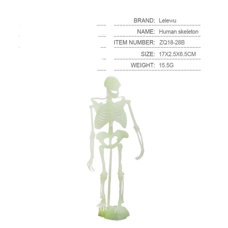 Install Dinosaur Skeleton Model - Image 2