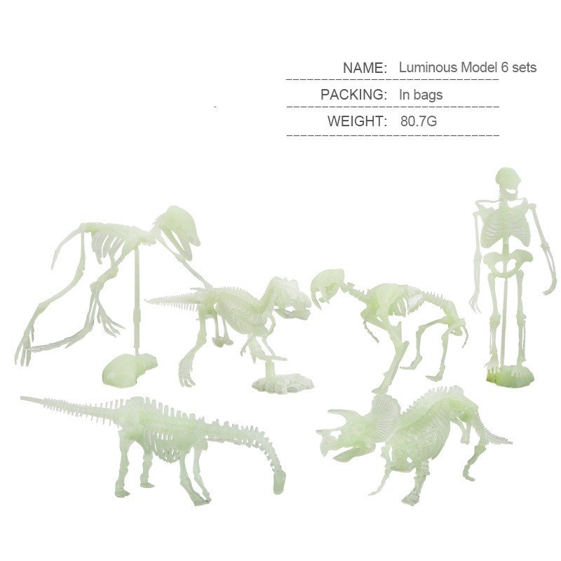Install Dinosaur Skeleton Model - Image 7