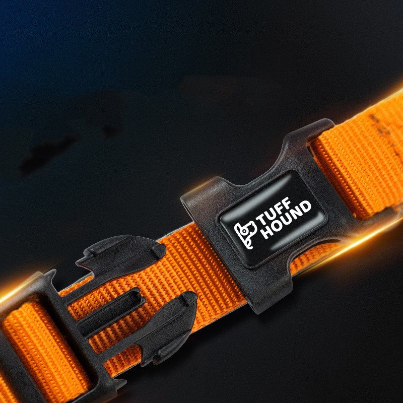 Holographic reflective dog leash - Image 2