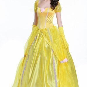 Fancy dress ball costume
