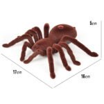 The spider toy